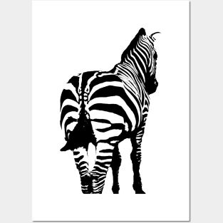 Zebra Posters and Art